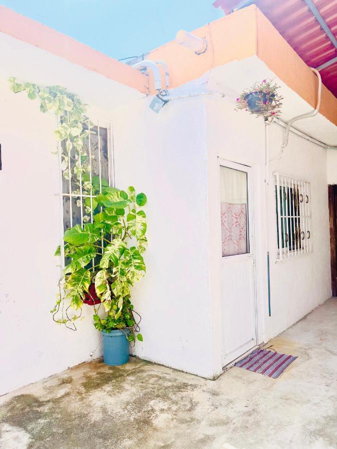 Alojamiento En La Calle 56 Playa Del Carmen Exteriér fotografie